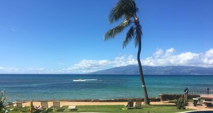 NUEVOS PROPIETARIOS! Frente a la playa / Aire acondicionado / Bellamente remodelado 2B / 1B