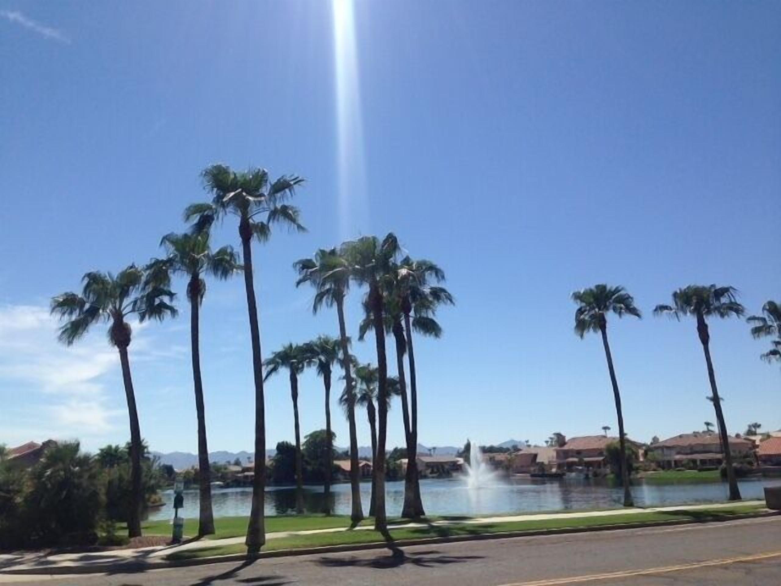 Ahwatukee - 1 BR Condo, no stairs, new hardwood flooring in 2020, pool view