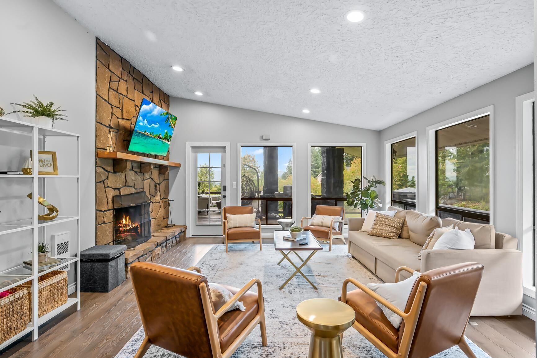 Smart TV, chimenea y reproductor de DVD 