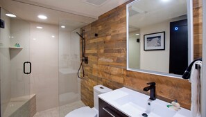 Combined shower/bathtub, hair dryer, towels, soap