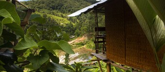 Bungalows en bois simples dans les montagnes de la province de Chiang Mai