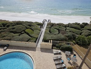 Un espace piscine aménagé sur le toit, avec des chaises longues et une vue sur la plage.