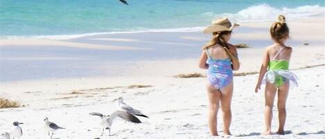 Accommodatie ligt op het strand, ligstoelen