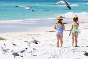 Accommodatie ligt op het strand, ligstoelen