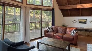 Smart TV, books, video library