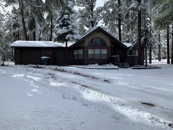 Una cabaña con techo nevado, rodeada de altos pinos.