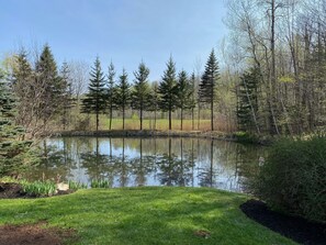 Property grounds - South View Chalet! (Killington)