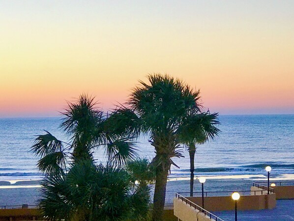 A coastal view with palm trees and a sunset. - Luxury Oceanfront Condo with Reduced Rates! (Myrtle Beach)
