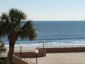 A beachside parking area with a palm tree and a view of the ocean. - Luxury Oceanfront Condo with Reduced Rates! (Myrtle Beach)
