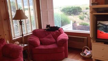 Télévision, cheminée, lecteur de DVD, baby-foot