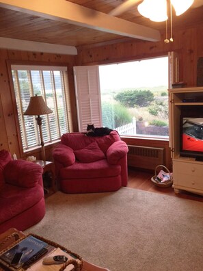 TV, lareira, DVD player, pebolim