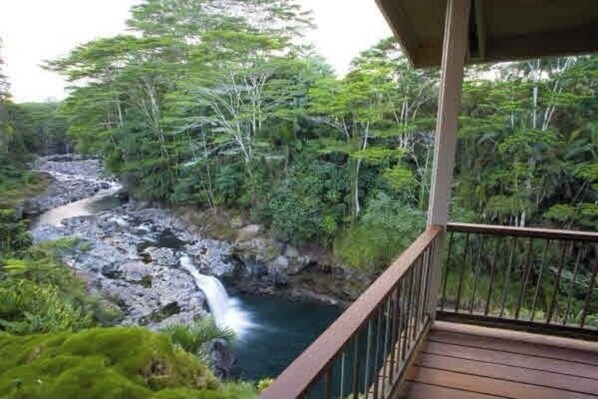 Property grounds - Gorgeous! The Waterfall Retreat At Reed's Island (Hilo)
