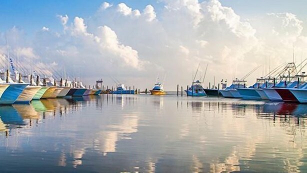 A marina with boats docked in a row, calm water reflecting the boats and sky.