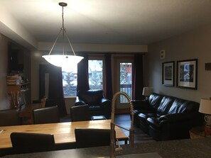 TV, fireplace, DVD player, books