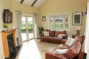 TV, fireplace, DVD player, books - Luxurious Cottage Set in Beautiful Irish Countryside. (Nenagh)