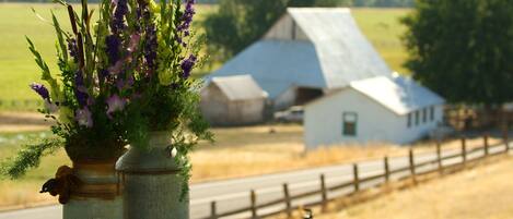 Áreas de la propiedad