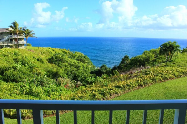 Property grounds - Oceanfront Alii Kai I Condominium #7202 Princeville Kauai (Princeville)