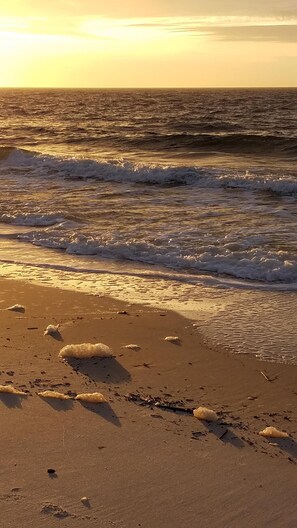 Beach nearby, beach towels