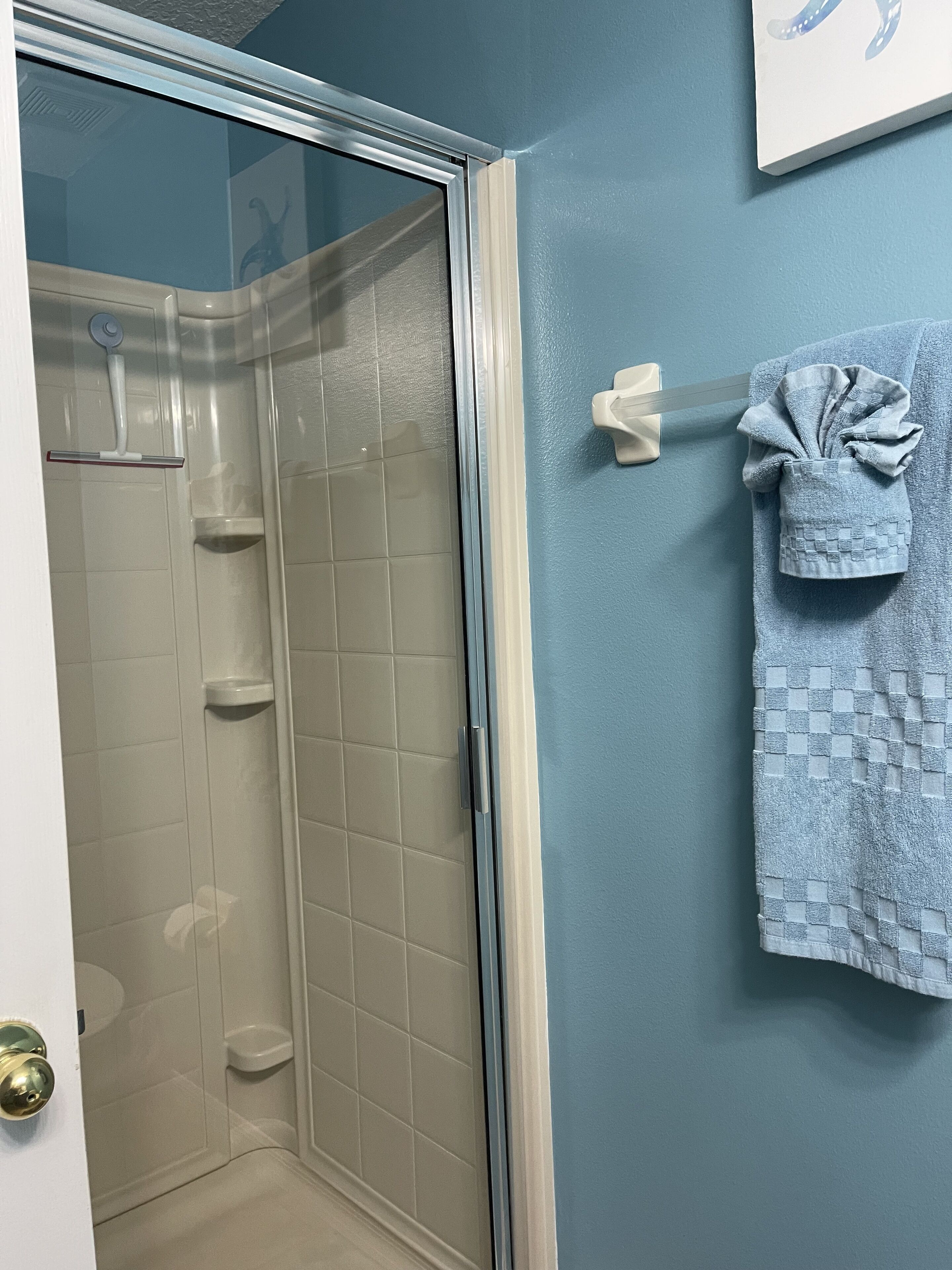 A bathroom with a glass shower enclosure, a towel rack with a folded towel, and a white door with a brass handle.