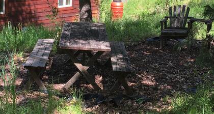 Quiet Forest Retreat near Towns. Longer stay discounts welcome. Dog Friendly.