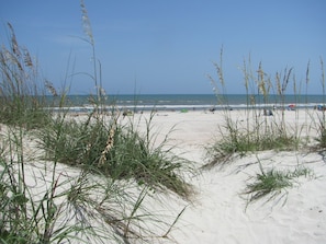 Una playa con dunas de arena y vegetación escasa.