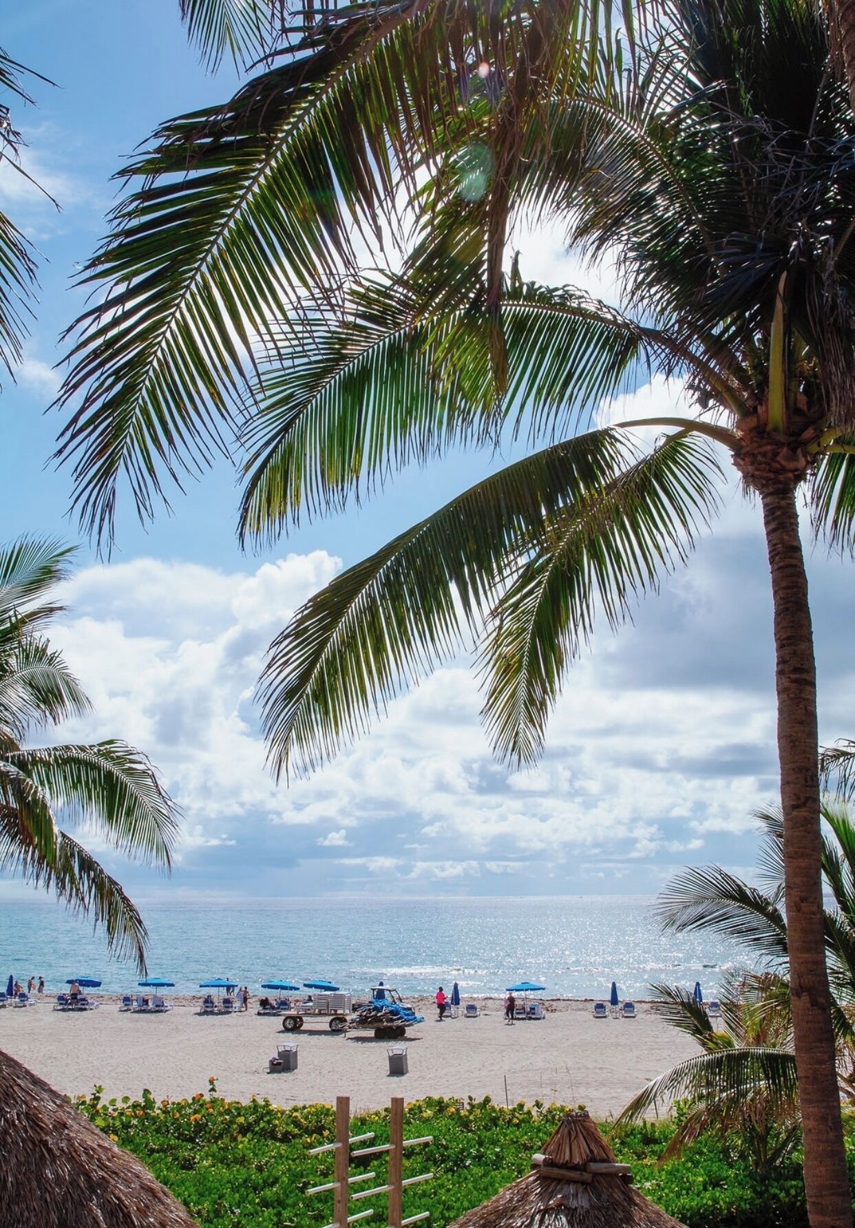Plage, chaises longues, serviettes de plage