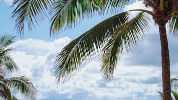 Plage, chaises longues, serviettes de plage
