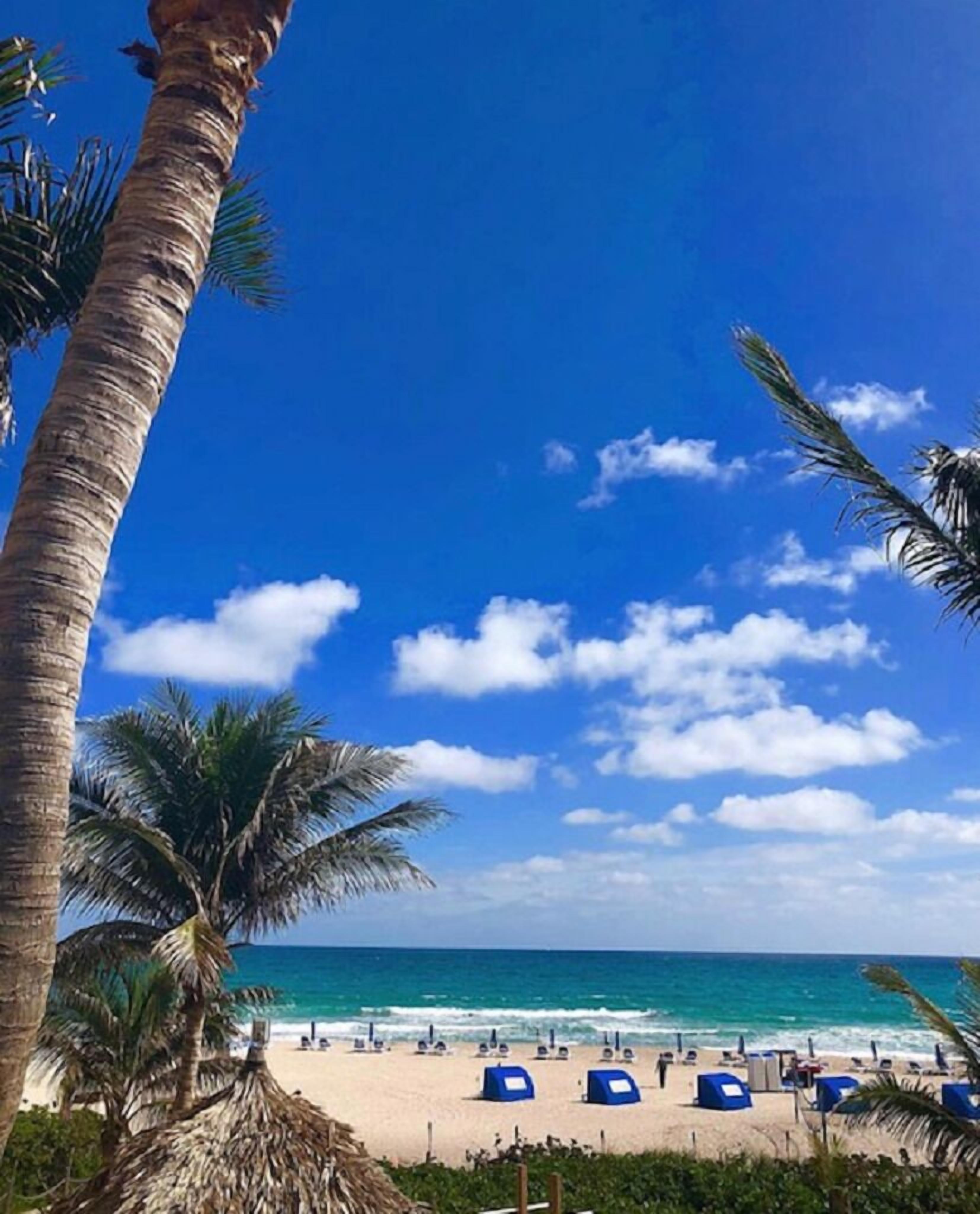 Aan het strand, ligstoelen aan het strand, strandlakens