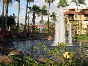 المنطقة المحيطة بالمنشأة