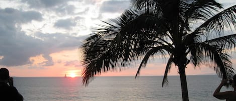 Sun-loungers, beach towels