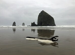 Beach nearby, sun-loungers - The Dorothy Lou Family Home; short walk to beach, ocean view (Cannon Beach)