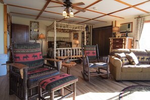 TV, caminetto, lettore DVD, libri