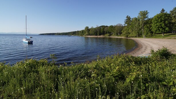 Un lac avec un voilier, une plage de sable et, au loin, une forêt dense.