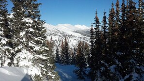 Ulkopuoli