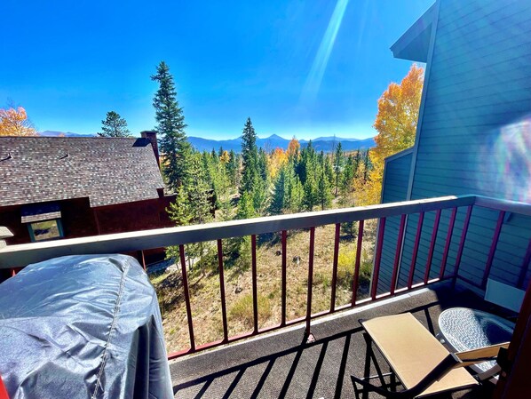 A balcony with a view of a forest and mountains.