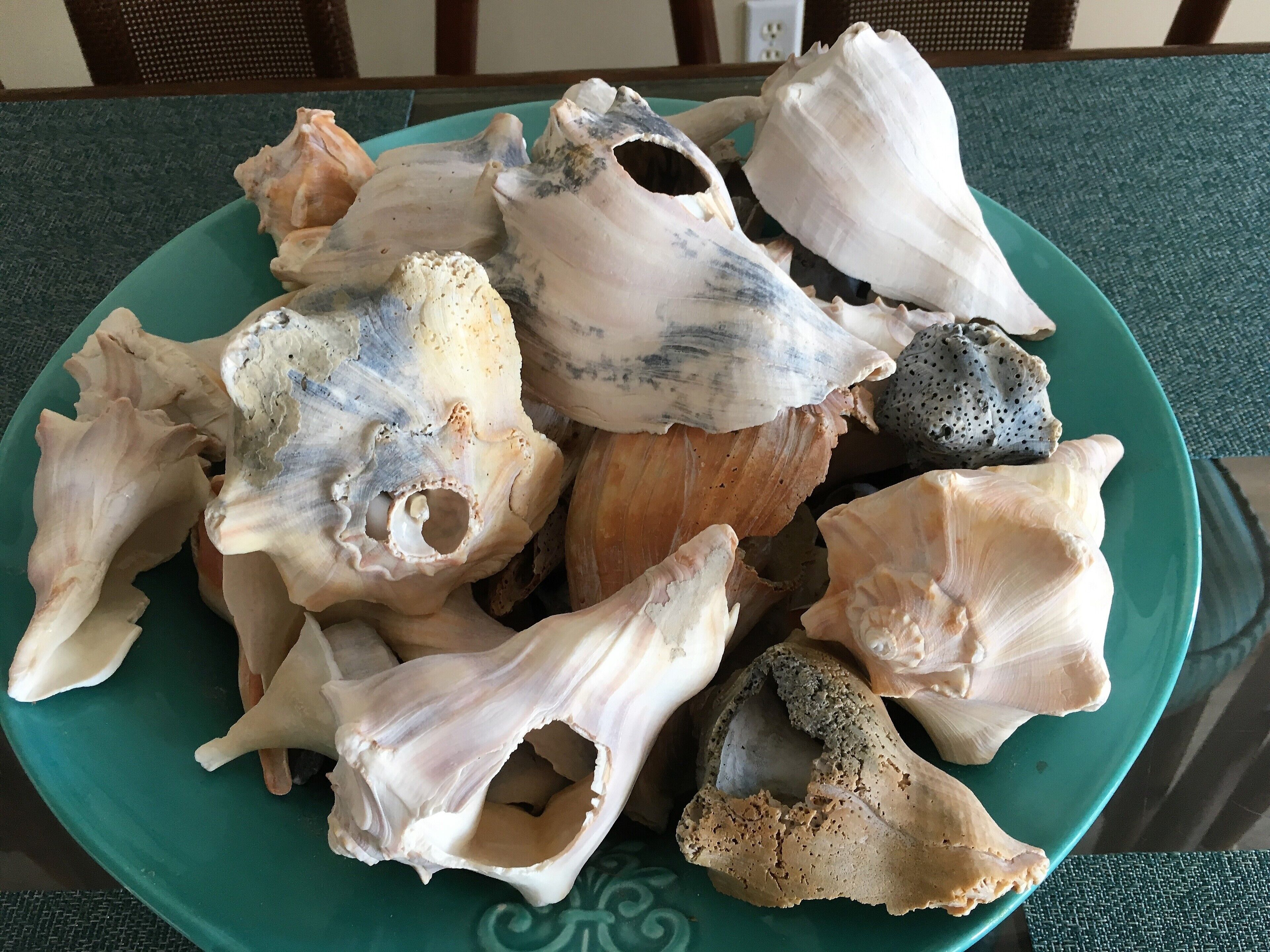 餐饮