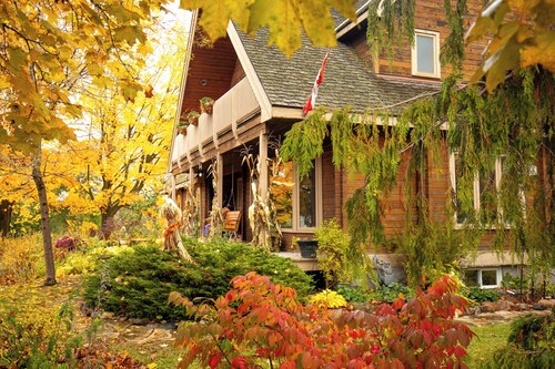 Runaway Rooster B&B - The Roost