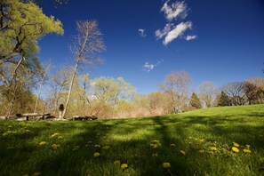 Property grounds - Runaway Rooster B&B - The Roost (Prince Edward)