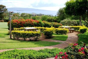 Outdoor dining - Fantastically Remodeled Condo with Huge Ocean Views (Wailea-Makena)