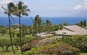 Property grounds - Fantastically Remodeled Condo with Huge Ocean Views (Wailea-Makena)