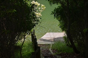 A wooden dock leading into a body of water, surrounded by dense foliage. - Connestee Falls Lakefront Mountain Home  (Brevard)