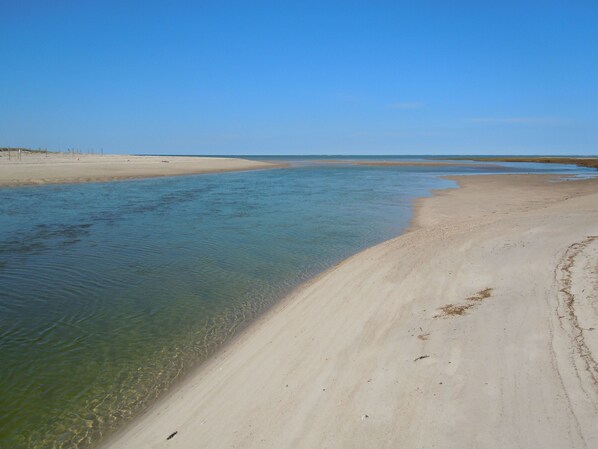Playa en los alrededores, camastros y toallas de playa 