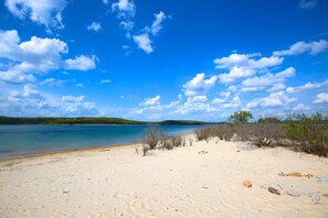 En strand med klar himmel, roligt vand og sparsom vegetation.