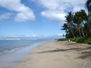 Enjoy a serene beach experience with access to the ocean.