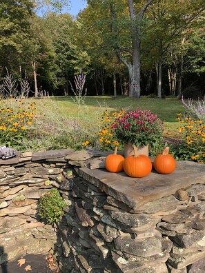 Surrounded by vibrant flowers and a serene wooded backdrop, this garden offers a peaceful escape.