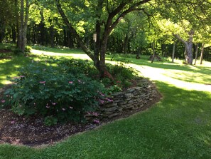 Property grounds - A perfect, quiet baseball rental in the woods near Cooperstown, NY (Hartwick)