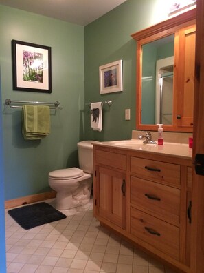 Combined shower/tub, hair dryer, towels, soap - A perfect, quiet baseball rental in the woods near Cooperstown, NY (Hartwick)