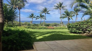 Un jardín tropical con palmeras y vista al océano.