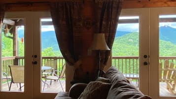 Smart TV, fireplace, DVD player, video library