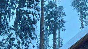 A cabin with a stone exterior, large windows, and a stone fireplace. - Newer Built ski to ski lift , Extra Master Bedroom ,Sleeps 10 (Homewood)